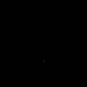 Meet your Posher, Freddie